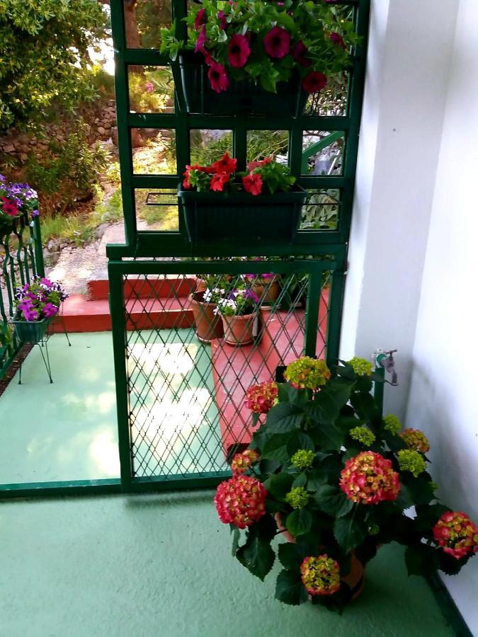 Apartman Kristin Podaca Exterior photo
